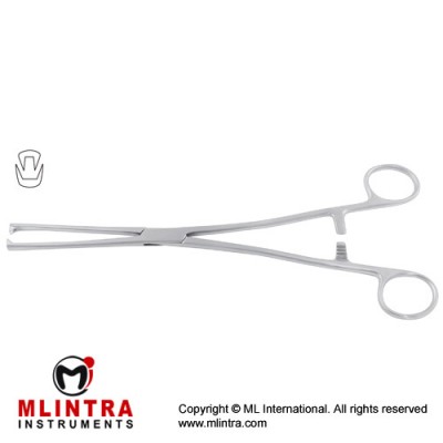 Museux Tenaculum Forcep 2 x2 Teeth Stainless Steel, 24 cm - 9 1/2" Jaw Size 7 mm